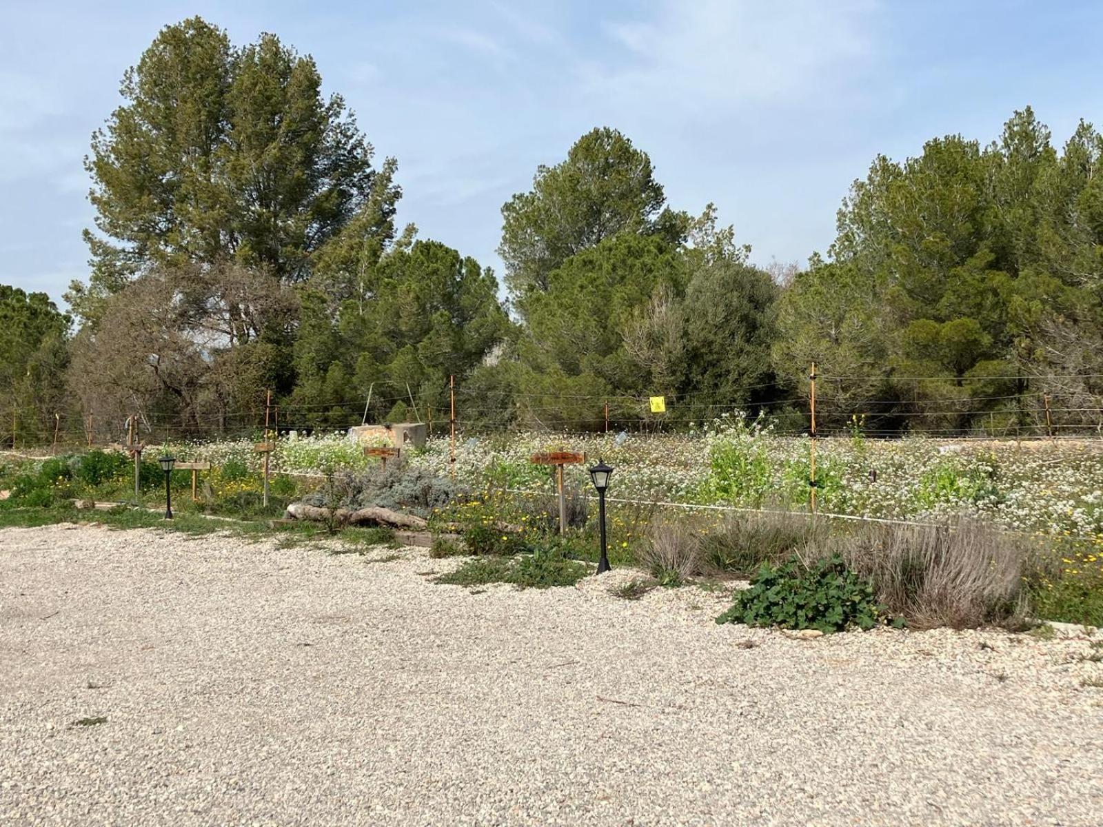 San Martín Sarroca Apartment With Private Pool And Garden מראה חיצוני תמונה