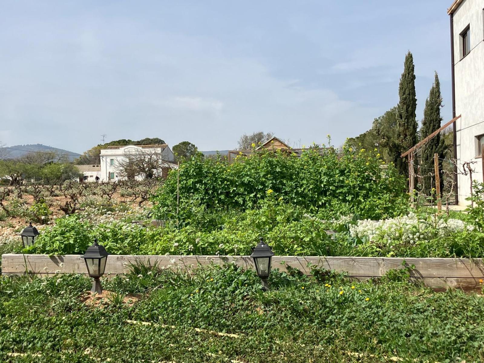 San Martín Sarroca Apartment With Private Pool And Garden מראה חיצוני תמונה